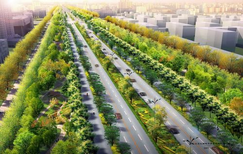 城市道路绿化规划与设计规范的总 则